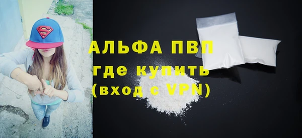 прущие грибы Белокуриха