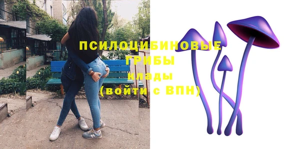 дмт Белая Холуница